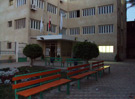 Faculty of Agriculture  Damietta University