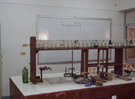 Faculty of Agriculture  Damietta University