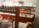 Faculty of Agriculture  Damietta University
