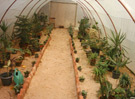 Faculty of Agriculture  Damietta University