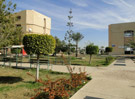 Faculty of Education Damietta University