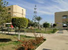 Faculty of Education Damietta University